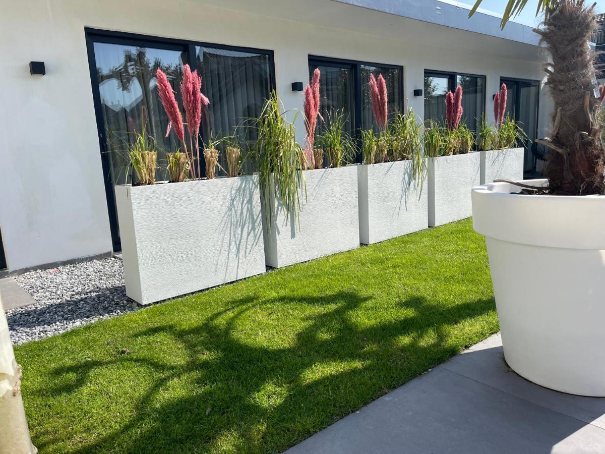 B&B Bubbles&Bites Oostvoorne Exterior photo